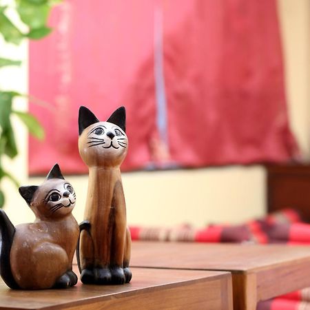 Thai Cat Hostel Bangkok Luaran gambar