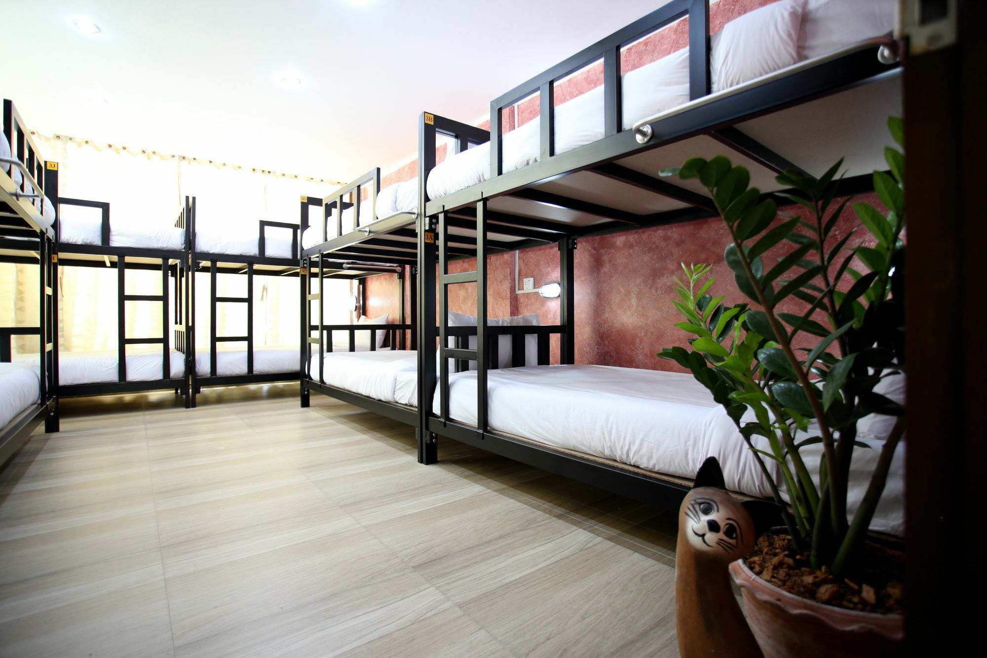 Thai Cat Hostel Bangkok Luaran gambar